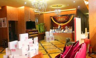 圣雅菲美容美体 打造专业生活美容服务新风尚
